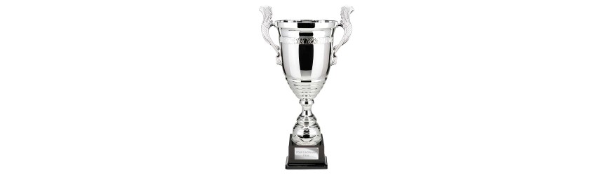 ENDEAVOUR SUPER CUP LARGE SILVER METAL HANDLED TROPHY CUP AVAILABLE IN 4 SIZES ENDEAVOUR SUPER CUP LARGE SILVER METAL HANDLED TROPHY CUP AVAILABLE IN 4 SIZES